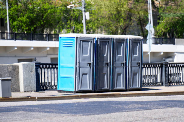 Best Porta potty rental for parties  in Des Allemands, LA